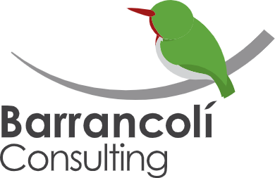 Barrancolí Consulting